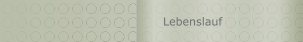 Lebenslauf